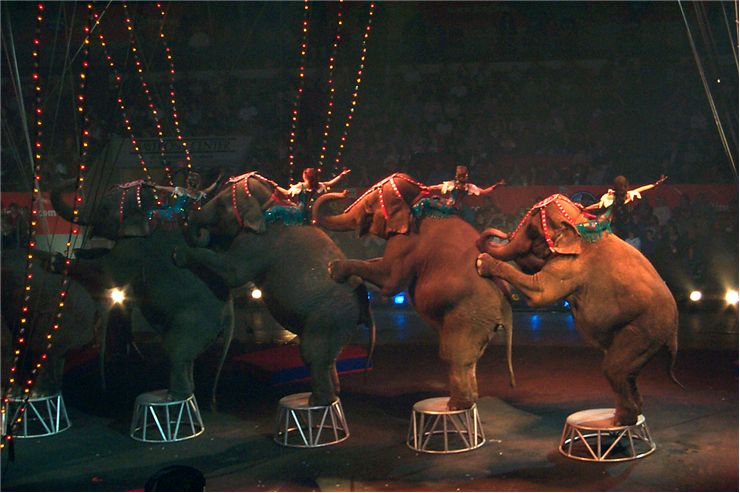 Picture Of Barnum And Bailey Circus