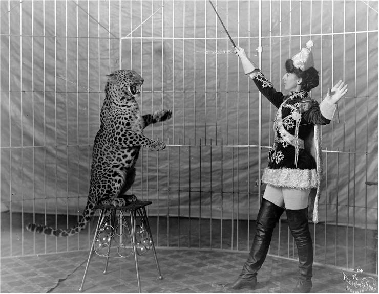 Picture Of Female Lion Tamer And Leopard